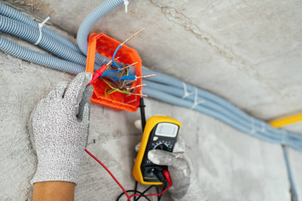 Best Licensed Electrician  in Louisville, TN